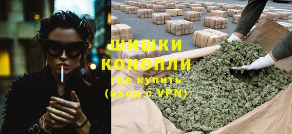 ГАЛЛЮЦИНОГЕННЫЕ ГРИБЫ Алзамай
