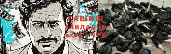 ГАЛЛЮЦИНОГЕННЫЕ ГРИБЫ Алзамай